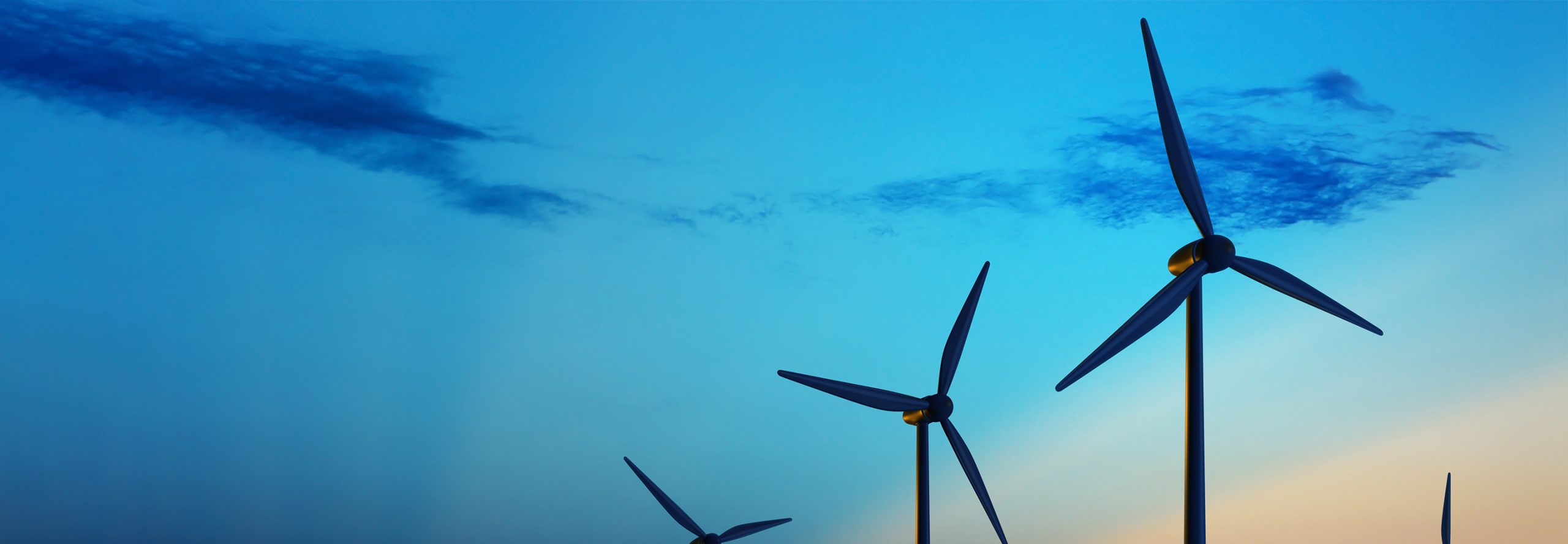 Sustainability and Responsibility